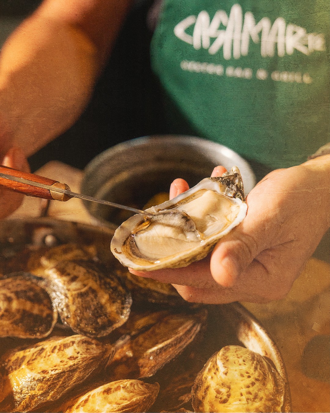 Casamarte La Paz: Oyster Bar & Grill by Chef Héctor Palacios