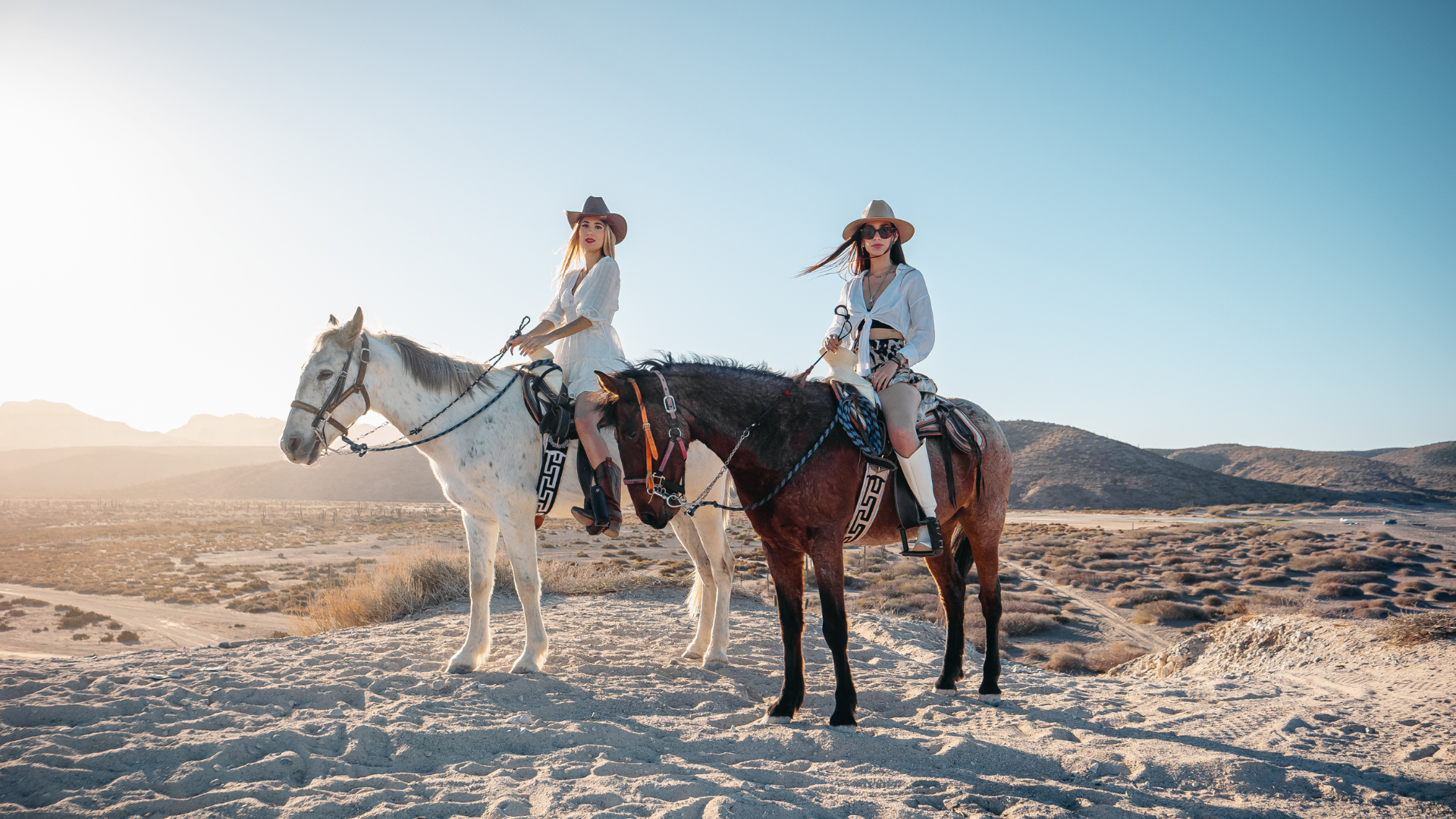 caballos