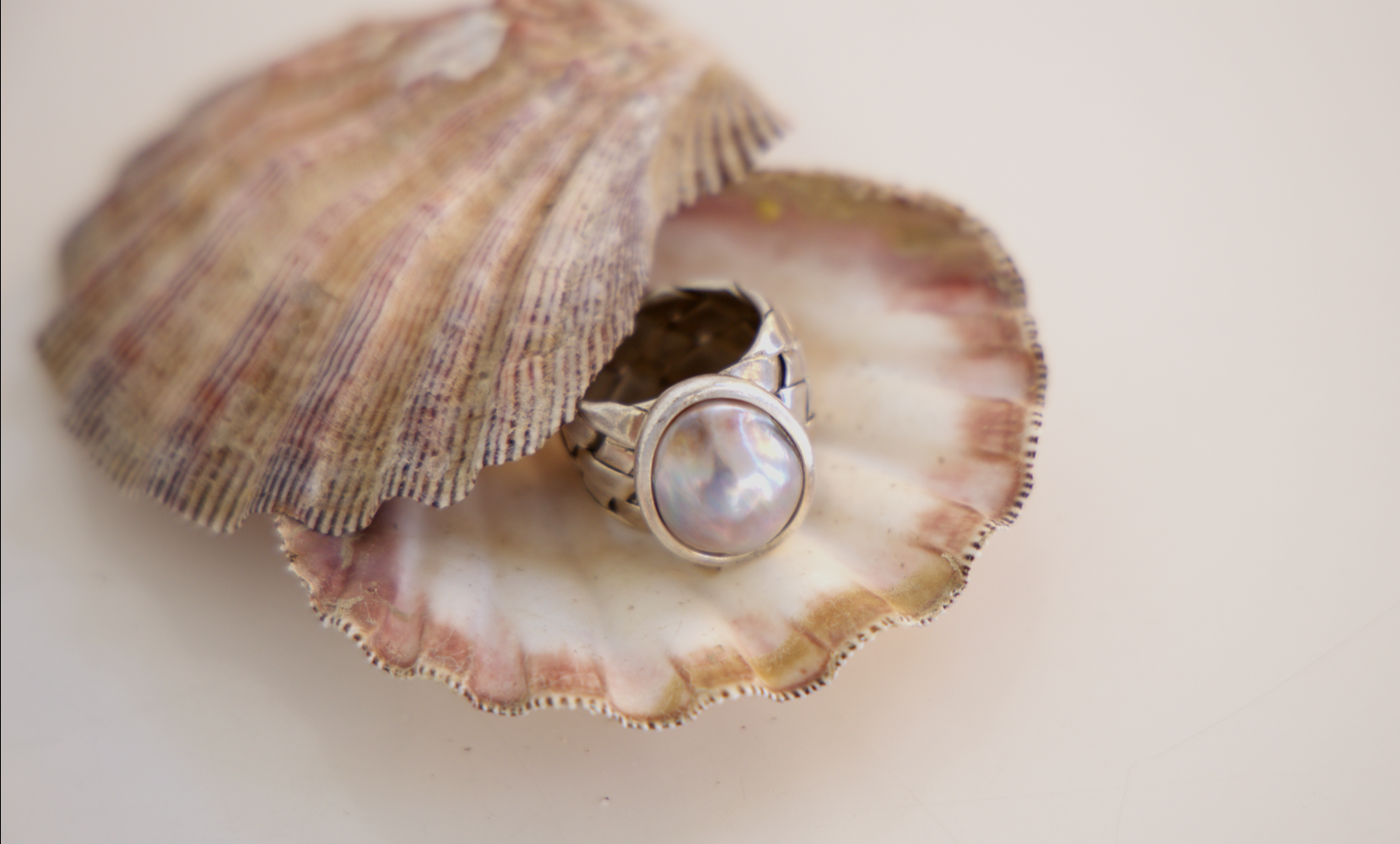 Anillo con perla sobre una concha