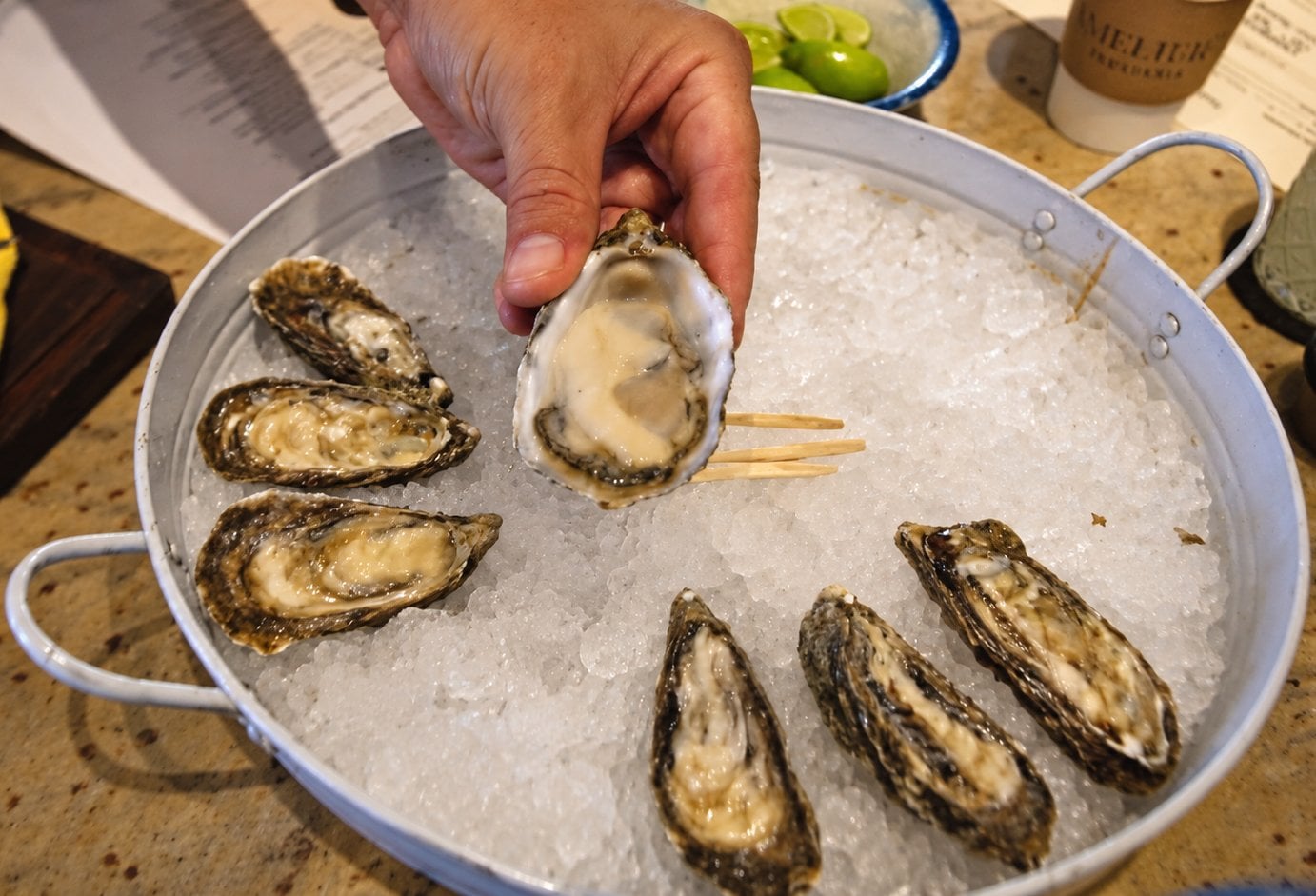 Fresh oysters on ice being tasted at Casamarte Oyster Bar & Grill