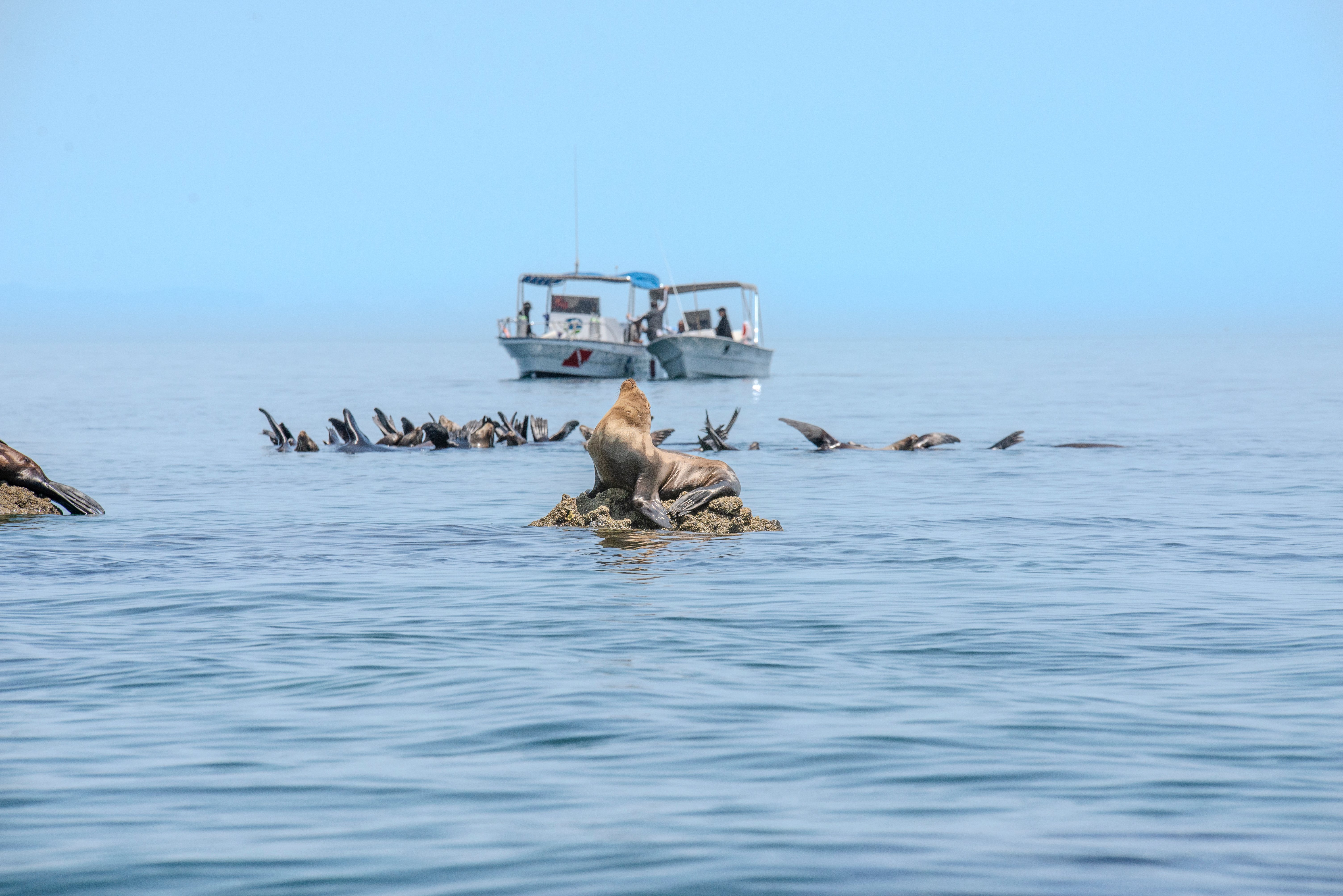 Boats near the sea lion rocks